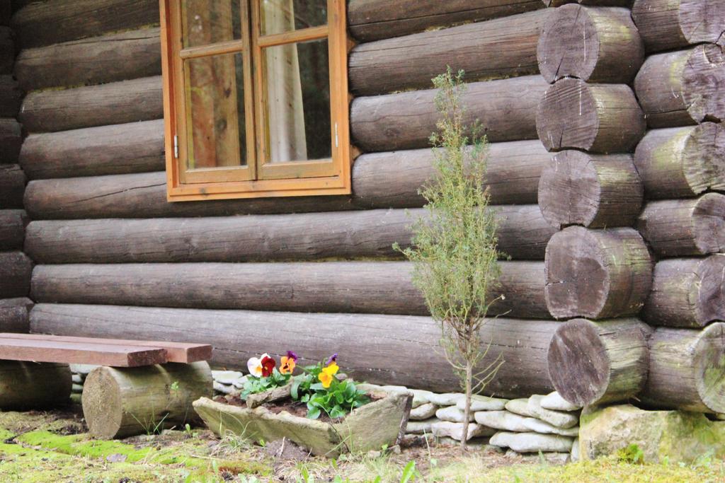 Kuuli Puhkemajad Hotel Tagaranna Kamer foto